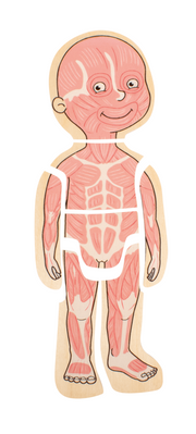 Beleduc - Body - Puzzle - Girl - Limolin 