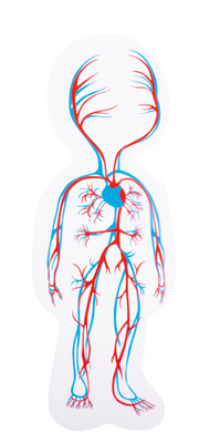 Beleduc - Body - Puzzle - Girl - Limolin 