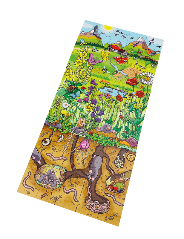 Beleduc - Floor Puzzle "Discover The Flower Meadow" - Limolin 