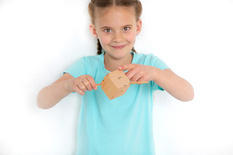 Beleduc - Frobel Set 1 - Limolin 