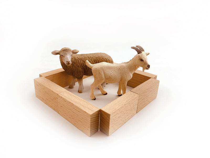 Beleduc - Frobel Set 2 - Limolin 