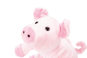 Beleduc - Handpuppet - Pig - Limolin 
