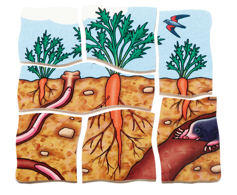 Beleduc - Layer Puzzle - Carrot - Limolin 