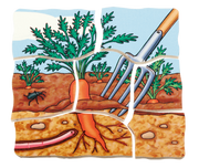 Beleduc - Layer Puzzle - Carrot - Limolin 