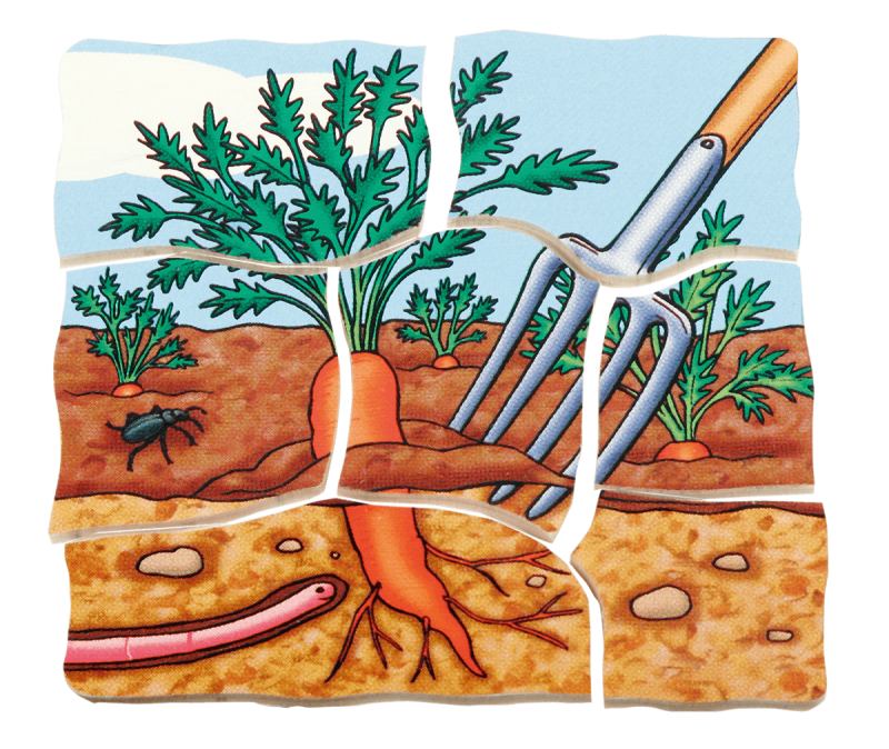 Beleduc - Layer Puzzle - Carrot - Limolin 