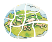 Beleduc - Layer Puzzle - Frog - Limolin 