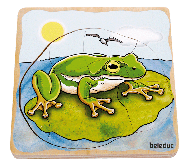 Beleduc - Layer Puzzle - Frog - Limolin 