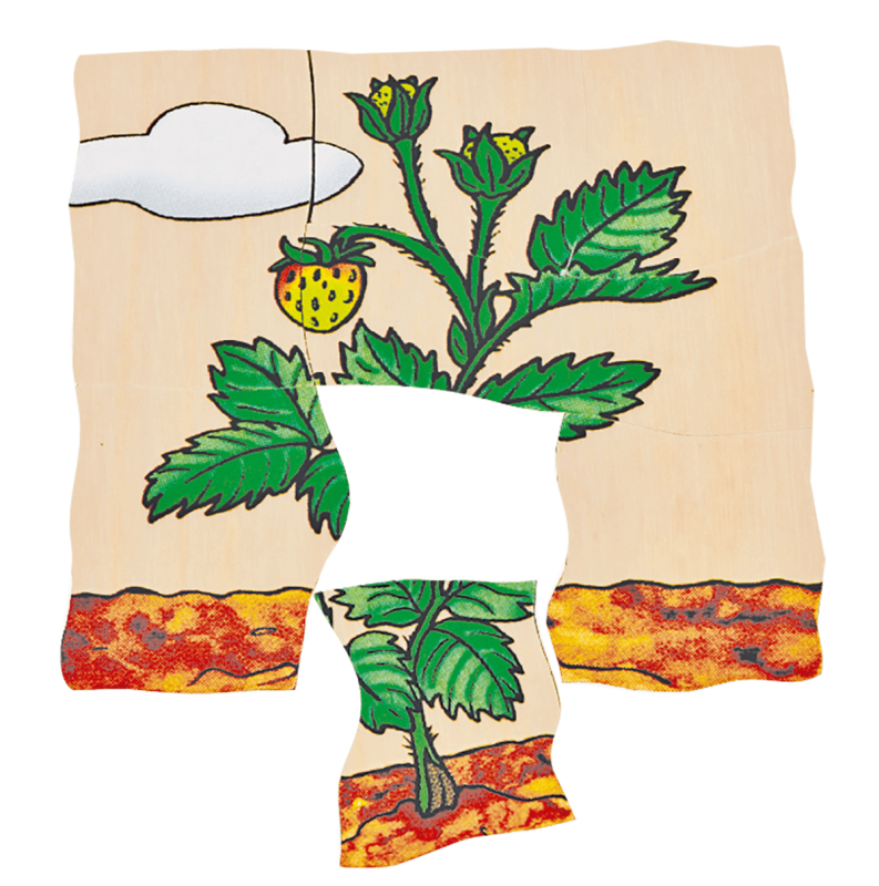 Beleduc - Layer Puzzle - Strawberry - Limolin 