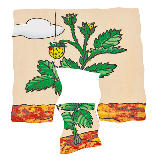 Beleduc - Layer Puzzle - Strawberry - Limolin 