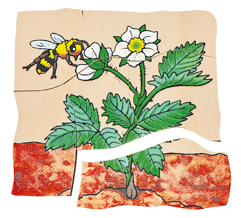 Beleduc - Layer Puzzle - Strawberry - Limolin 