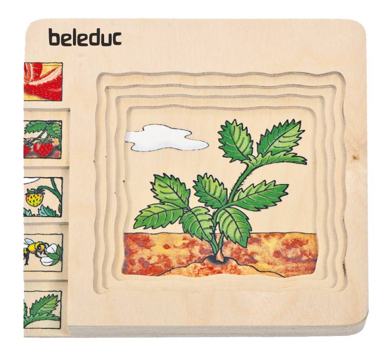 Beleduc - Layer Puzzle - Strawberry - Limolin 