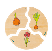 Beleduc - Nawito - Evolution - Limolin 