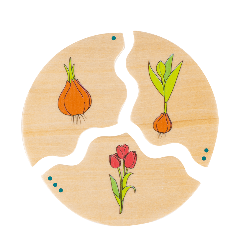 Beleduc - Nawito - Evolution - Limolin 