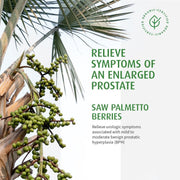 BioForce - AVogel Remedies, PROSTATE 1 - PROSTATE, 30 CAPS - Limolin 