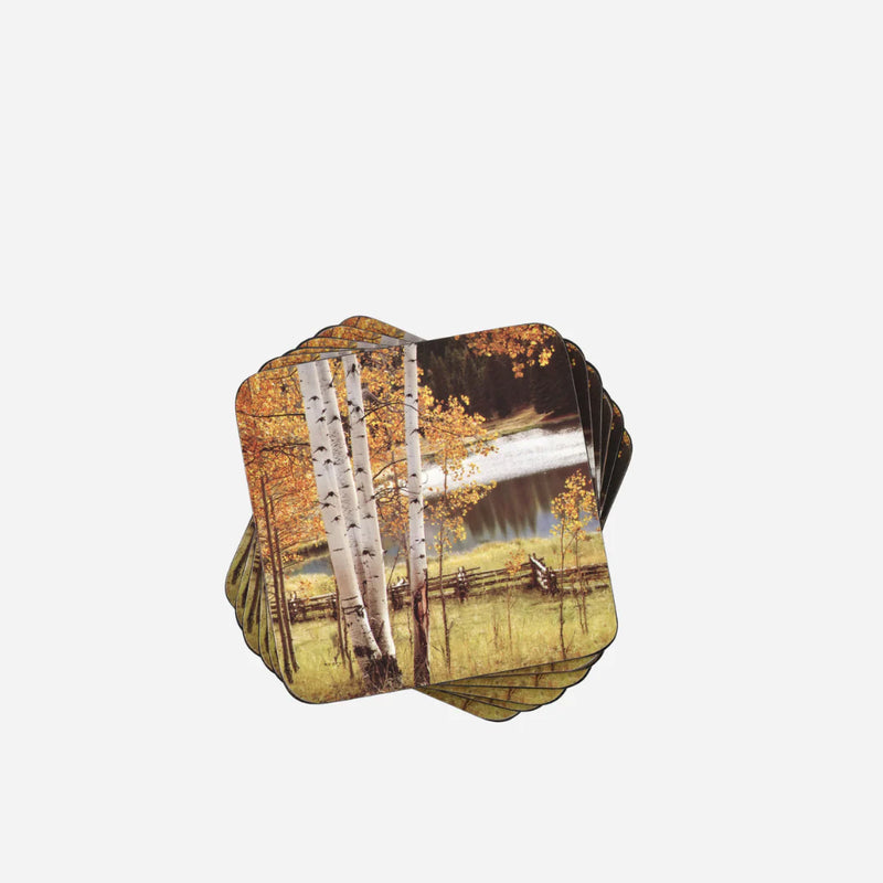 Pimpernel - BIRCH BEAUTY S/6 4x4" Coasters