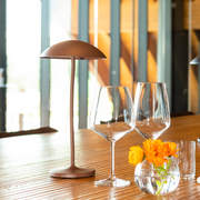 Blackout - Rechargeable cordless lamp STEM - Limolin 