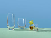 Bohemia Crystal - Club Highball (Set of 6) - Limolin 