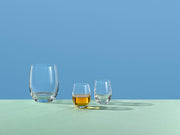 Bohemia Crystal - Club Old Fashion (Set of 6) - Limolin 