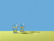 Bohemia Crystal - Gina Shot Glass - Limolin 