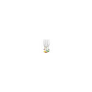Bohemia Crystal - Rainbow Flute (Set of 6) assorted - Limolin 