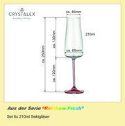 Bohemia Crystal - Rainbow Fresh Champagne Flute (Set of 6) Assorted - Limolin 