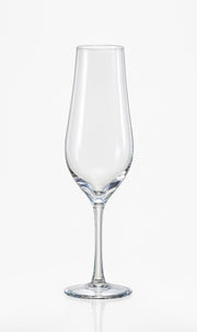 Bohemia Crystal - Tulipa Clear Champagne Flute (Set of 6) - Limolin 