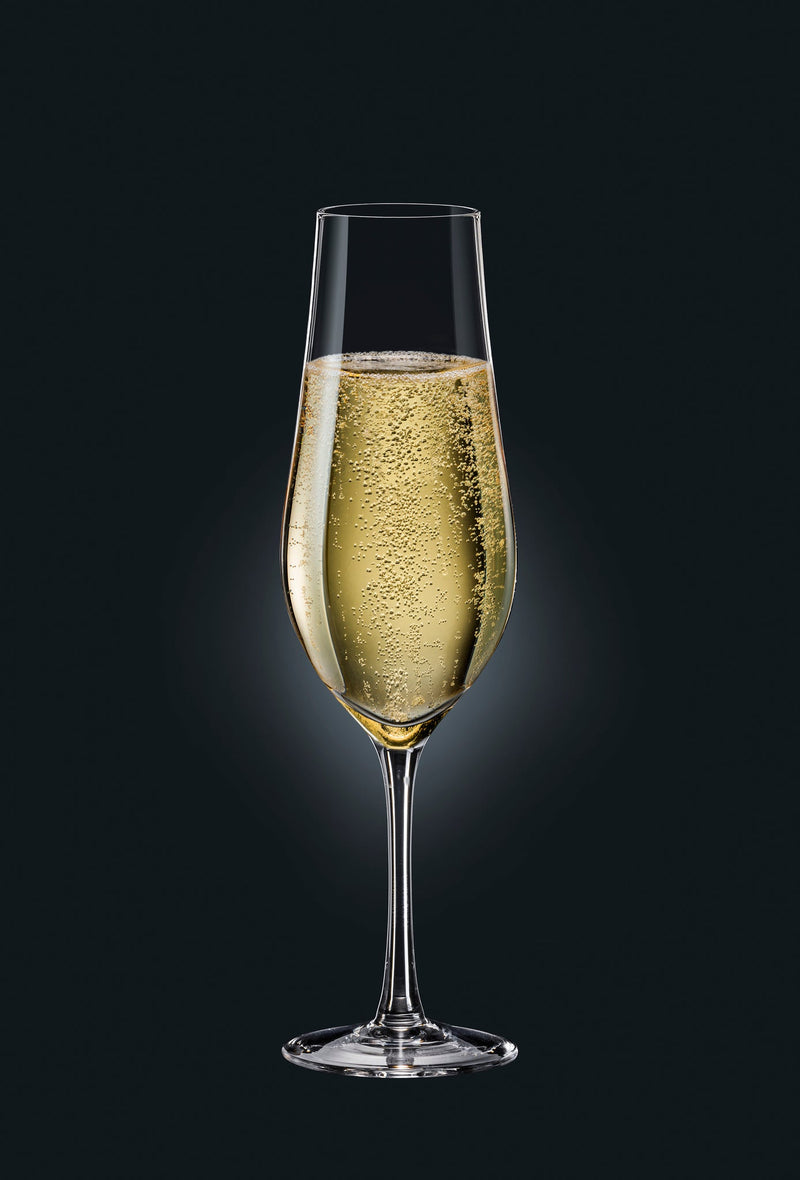 Bohemia Crystal - Tulipa Clear Champagne Flute (Set of 6) - Limolin 