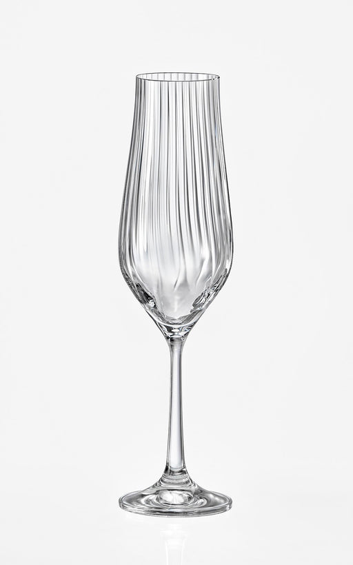 Bohemia Crystal - Tulipa Optic Champagne Flute (Set of 6) - Limolin 