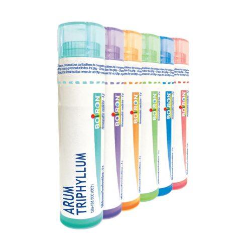 Boiron - Arum Triphyllum 30ch ,1 Tube (80 pellets) - Limolin 