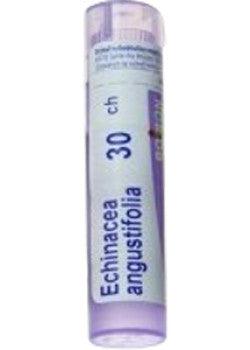 Boiron - Echinacea angus 30ch ,1 Tube(80pellets) - Limolin 