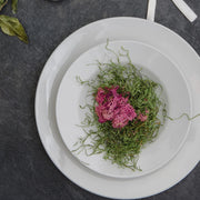 Browne - PALM Rimmed Bowl, 9oz/266ml, 9x1.75"/22.9x4.5cm, Porcelain, White - Limolin 