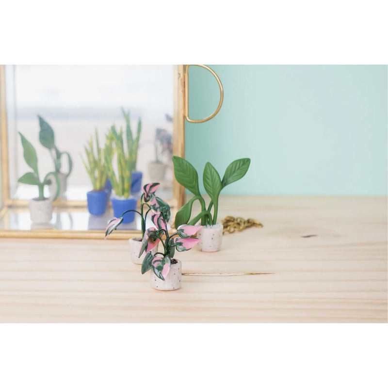 Cernit Polymer Clay Starter Kit – Mini Plants