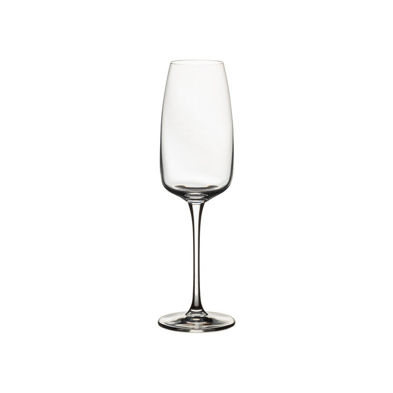 Costa Nova - Isabel - Flute Glass | 29 cl