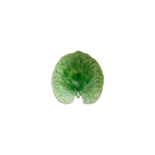 Costa Nova - Riviera Tomate Alchemille Leaf