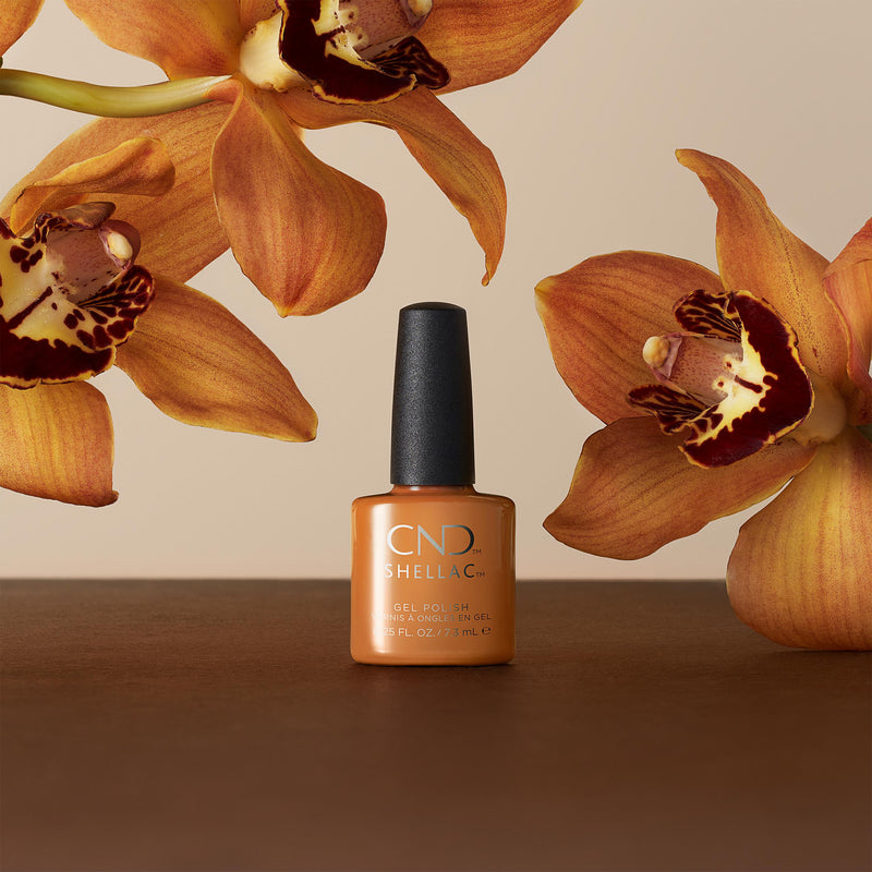 CND - Shellac Willow Talk 0.25 oz #408 - Limolin 
