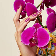 CND - Vinylux Orchid Canopy 0.5 oz #407 In Fall Bloom Collection Fall 2022 - Limolin 