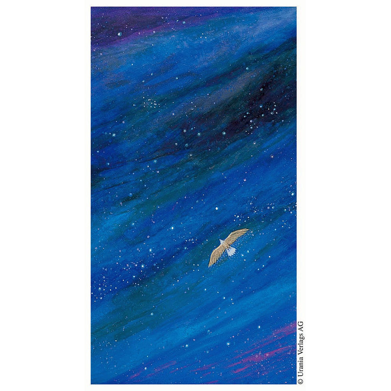 Cartamundi - Tarot Vision Quest - 78 Cartes - Limolin 