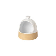 Casafina - Scotia Salt Cellar - Limolin 