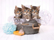 Clementoni - 500-Piece Puzzle (Chatons Et Savons) - Limolin 