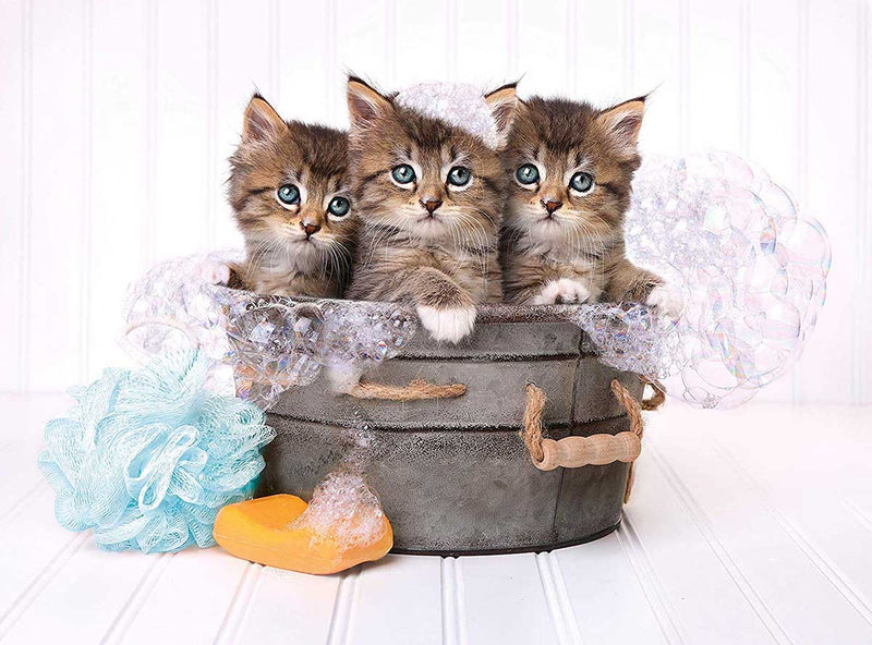 Clementoni - 500-Piece Puzzle (Chatons Et Savons) - Limolin 