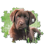 Clementoni - 500-Piece Puzzle (Chiot Chocolat) - Limolin 