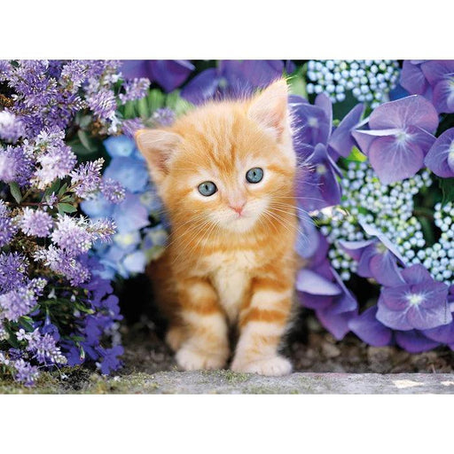 Clementoni - Ginger Cat in Flowers (500-Piece Puzzle) - Limolin 