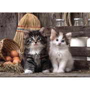 Clementoni - LOVELY KITTENS (1000-Piece Puzzle) - Limolin 