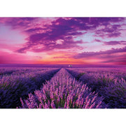 Clementoni - Lanvander Fields (1000-Piece Puzzle) - Limolin 