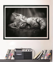 Clementoni - PZ1000: KITTY - Limolin 