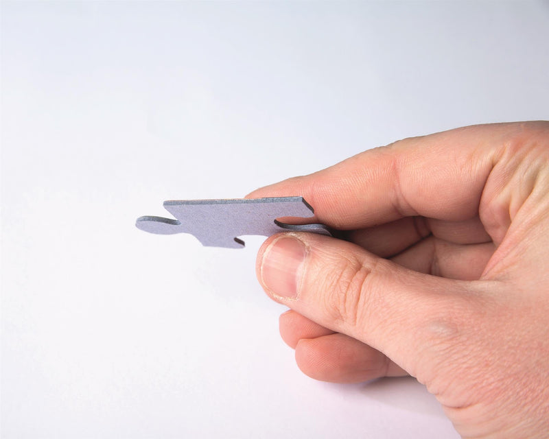 Clementoni - PZ1000: MUSEUM: BOWL OF FLOWERS - VAN DAEL - Limolin 