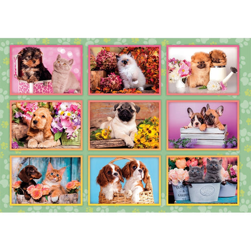 Clementoni - Puppies Collage (80-Piece Puzzle) - Limolin 