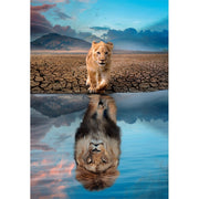 Clementoni - Self Reflection (300-Piece Puzzle) - Limolin 