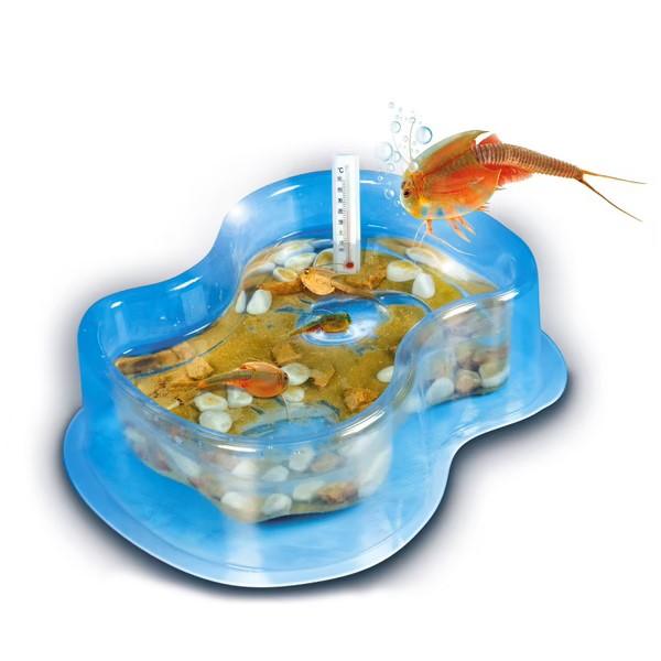 Clementoni - Triops (FR) - Limolin 