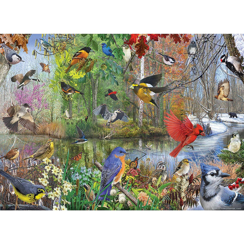 Cobble Hill - Birds of The Season (1000-Piece Puzzle) - Limolin 